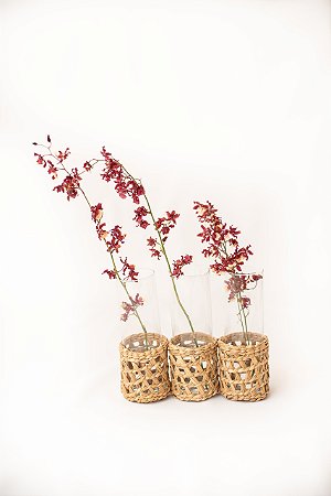 Vaso Trio Taboa
