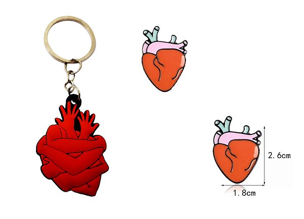 Kit Presente Anatomia Cardiologia Medicina
