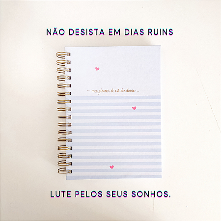 Planner de Estudos Diário