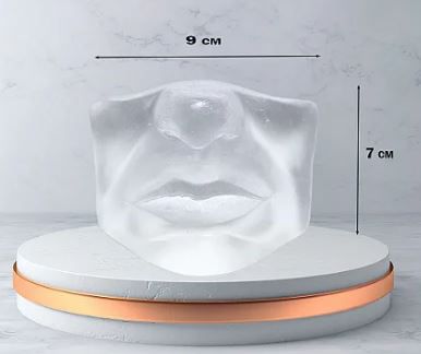 Boca Silicone para Treinamento de Preenchimento Labial c/ Nariz Transparente