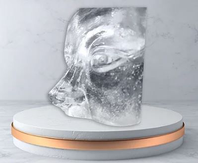 Meia Face Silicone Transparente para Treinamento Harmonização