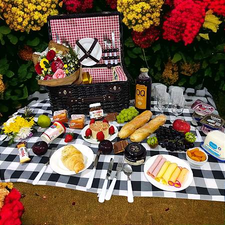 Cesta piquenique LUXO EXCLUSIVA edição LIMITADA