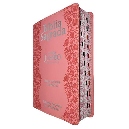 Bíblia Sagrada Com Letra Jumbo e Harpa Rosa Flores - CPP