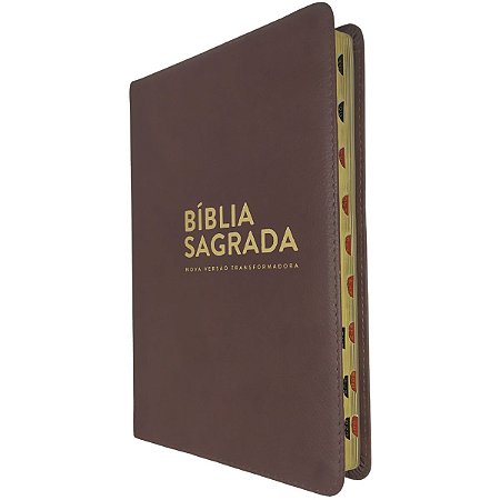 Bíblia Sagrada NVT Evangélica Índice  Capa Luxo Marrom - Mundo Cristão