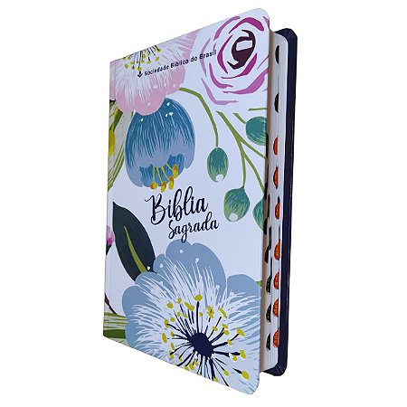Bíblia Sagrada Letra Grande | Capa Dura Azaleia | Sbb NTLH