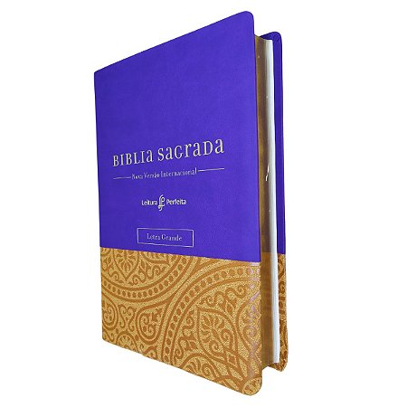 Bíblia NVI Espaço Para Anotações Luxo Roxo Letra Grande