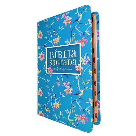 Bíblia NVI Leitura Perfeita Letra Grande Luxo Verde Índice