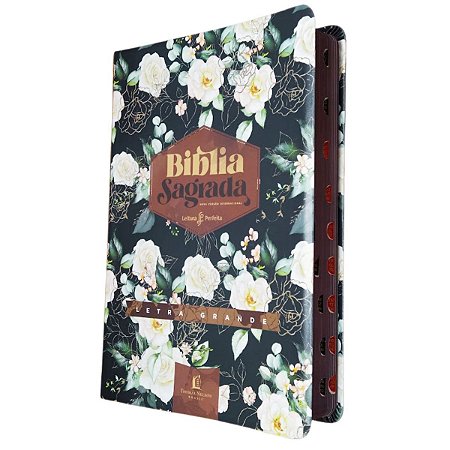Bíblia Nvi Feminina Letra Grande Couro Soft Rosas Com Índice