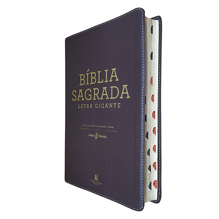 Bíblia Sagrada Letra Gigante | NVI Com Índice | Luxo Marrom