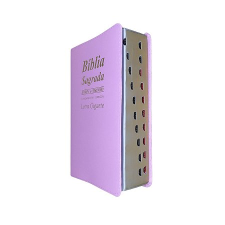 Bíblia Sagrada | Letra Gigante | Com Harpa | Média Rosa Lisa