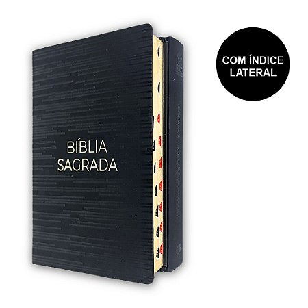 Bíblia Sagrada | NVT | Letra Gigante | Luxo Preta | Geográfica
