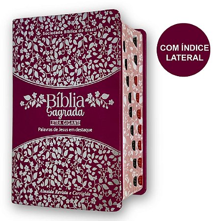 Bíblia Sagrada Letra Gigante Tijolinho De Bolsa Índice Pink