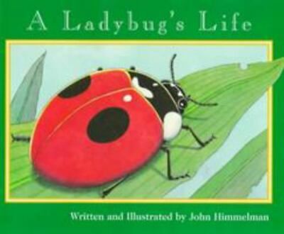 a ladybug's life