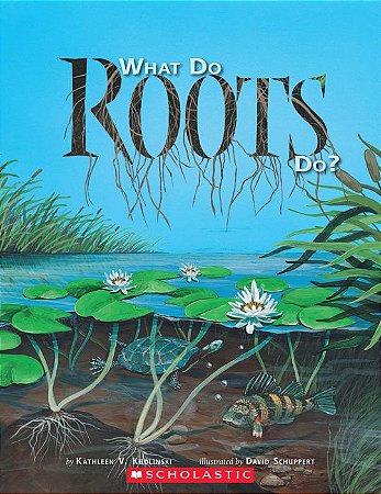 what do roots do