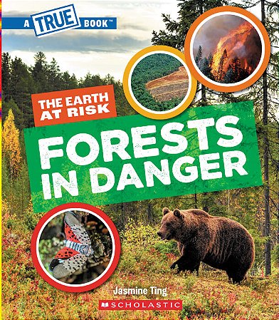forests in danger