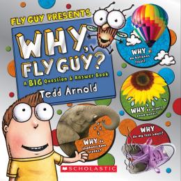 fly guy presents why fly guy