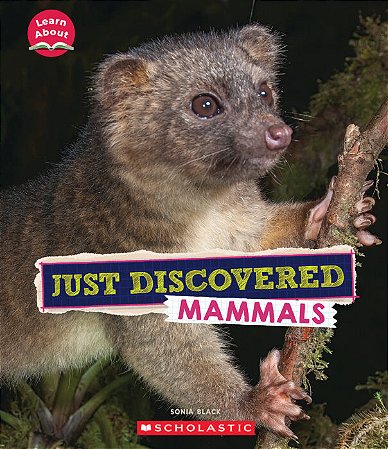 just discovered mammals