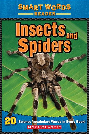Insects and spiders