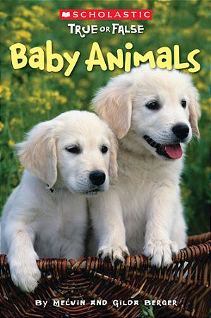 baby animals