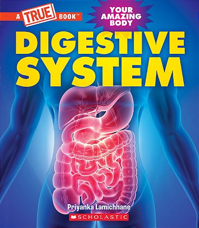 digestive system