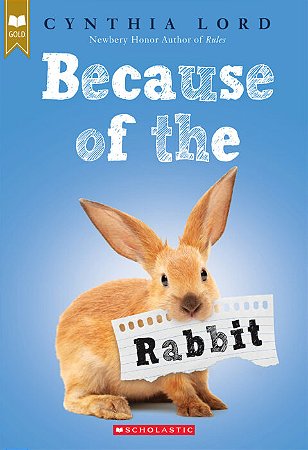 because of the rabbit