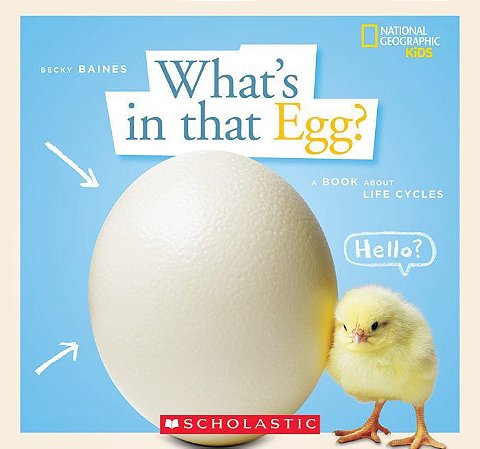 Whats in that egg - a book about life cycles