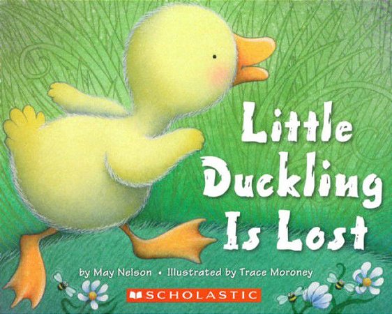 little duckling is lost