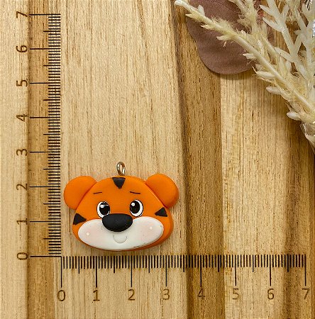 BISCUIT TIGRE