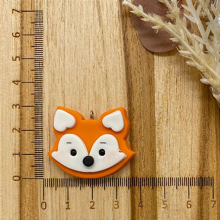 BISCUIT RAPOSA LARANJA