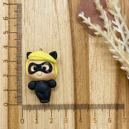 BISCUIT CAT NOIR
