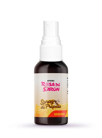 SPRAY PRÓPOLIS MEL E GENGIBRE 30ml