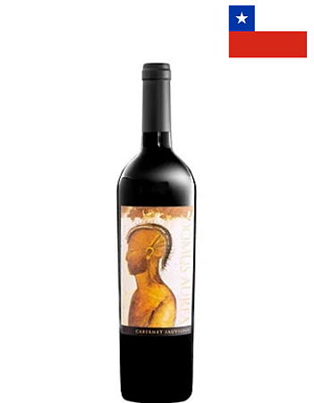 Domus Aurea Cabernet Sauvignon