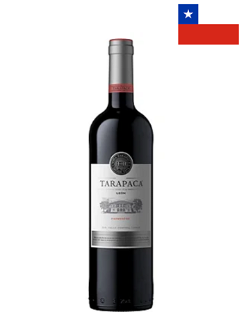 Tarapacá León