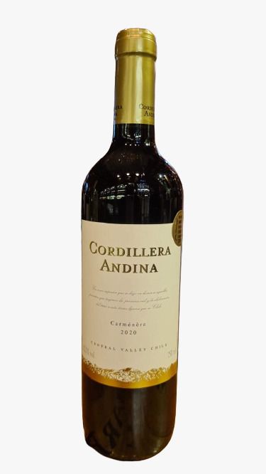 Cordellera Andina