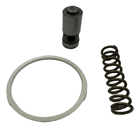 Kit Reparo Bomba Oleo Motor Mwm Sprint 4.07 4.08 6.07