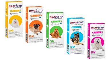 Antipulgas e Carrapatos MSD Bravecto Transdermal para Cães