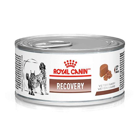 Ração Royal Canin Recovery Wet 195G