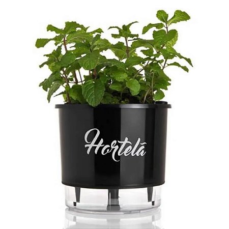 Vaso Autoirrigável Preto Hortelã N03