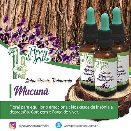 Floral do Mucunã