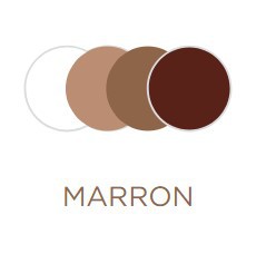 Lente Visu Transition Marrom