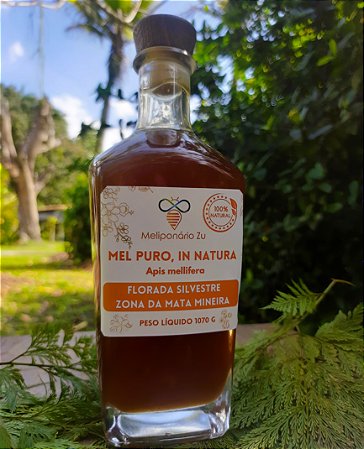 Mel Puro, Florada Silvestre, In Natura, 100% Natural, Cru, Sem Aquecimento - 1070 gramas, Zona da Mata Mineira
