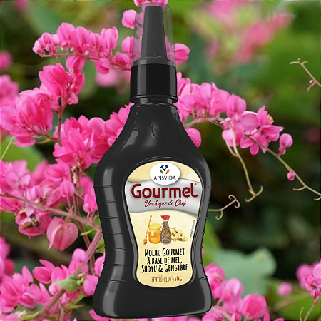 Molho Gourmet à base de Mel Puro, Shoyu & Gengibre - 440g
