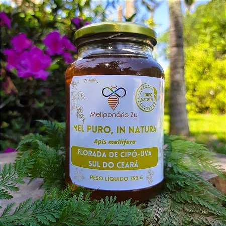 Mel Puro, Florada de Cipó-Uva, In Natura, 100% Natural, Cru, Sem Aquecimento - 750 gramas, Serra de Araripe, Sul do Ceará