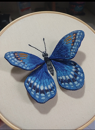 BORBOLETA AZUL