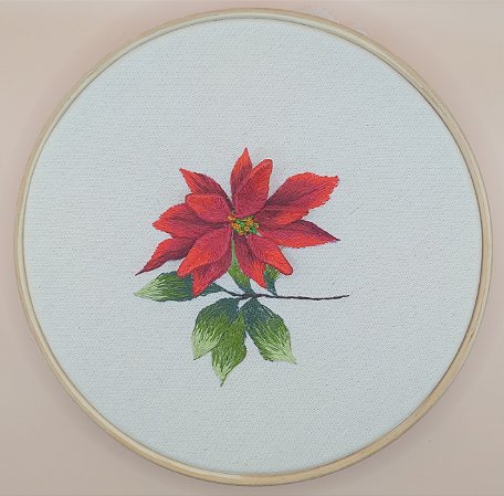 Flor de Natal