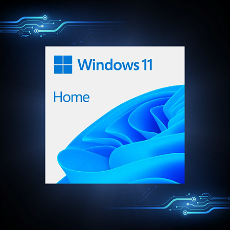 Licença Coem Win 11 Home - 64bit/brazilian/1pk Dsp Oei Dvd