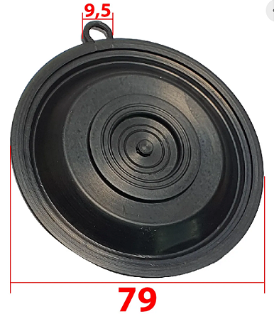Diafragma para Aquecedor a Gás - D79 - 79mm