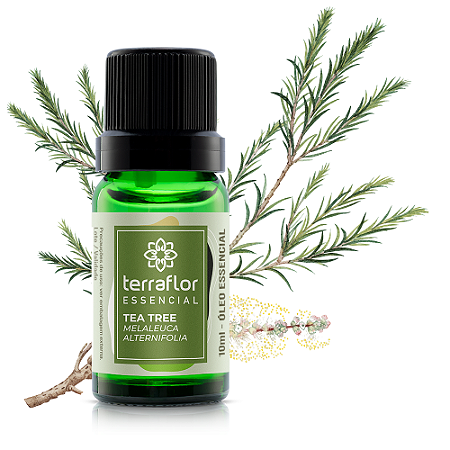 Óleo Essencial Tea Tree 10ml - Terra Flor