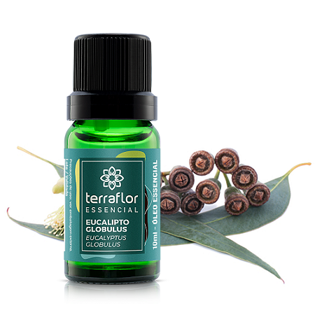 Óleo Essencial Eucalipto Glóbulus 10ml - Terra Flor