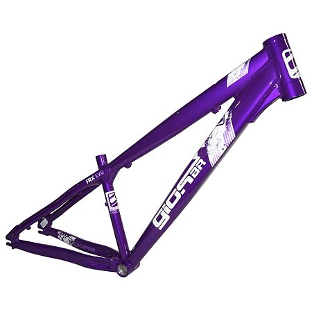 QUADRO GIOSBR FRX-EVO ROXO - BRANCO/CINZA
